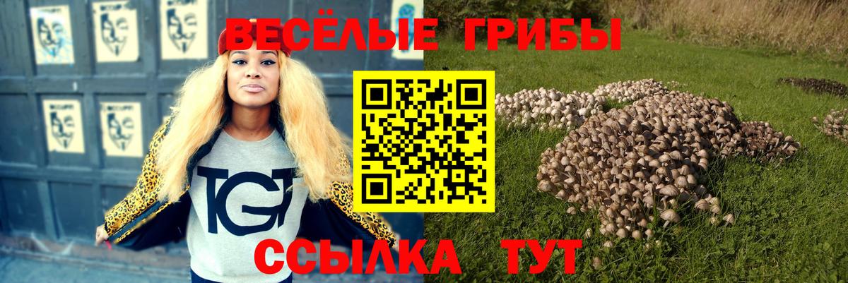 Грязи  Галлюциногенные грибы мухоморы  Вход с VPN 