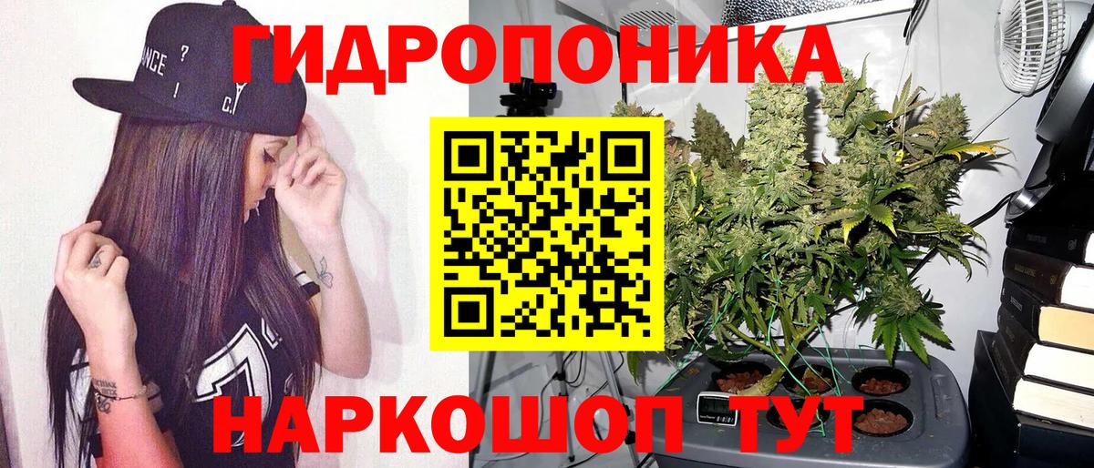 Каннабис планчик  Вход с VPN  Бошки Шишки Ganja  Бошки марихуана индика  Грязи 